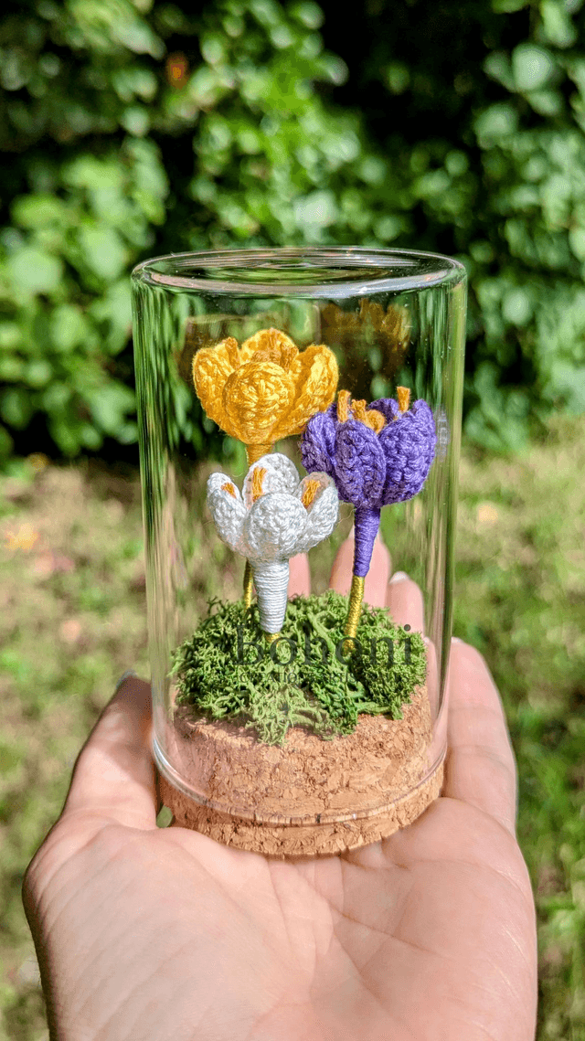 Mini terra CROCUS