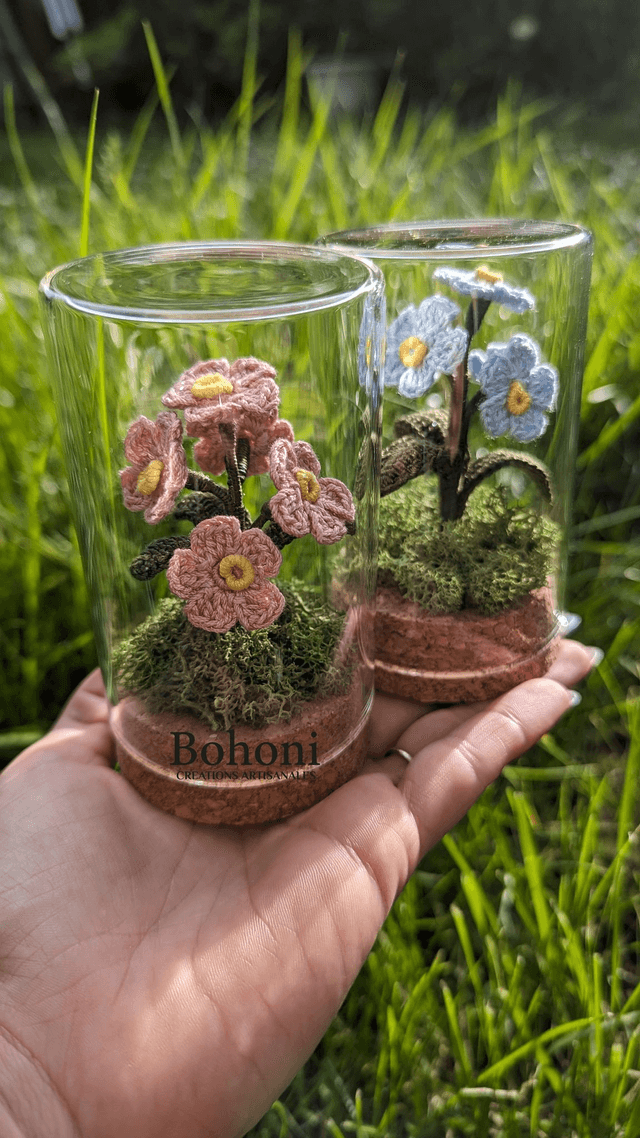 Mini terra MYOSOTIS