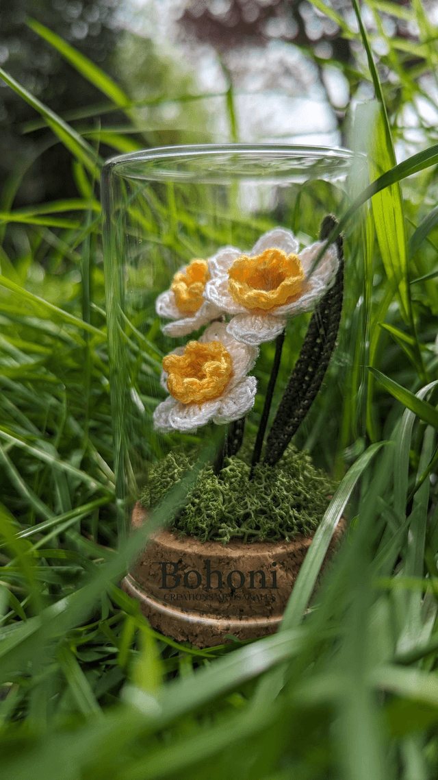 Mini terra JONQUILLES
