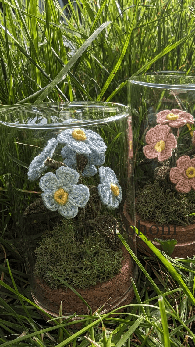 Mini terra MYOSOTIS