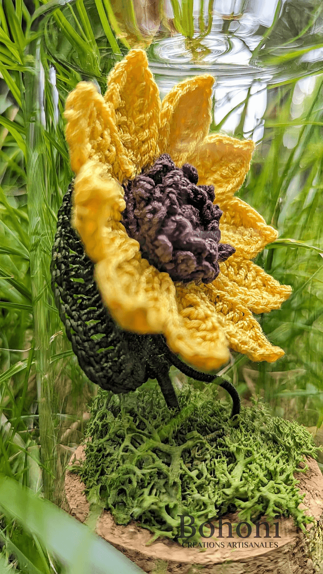 Mini terra TOURNESOL 