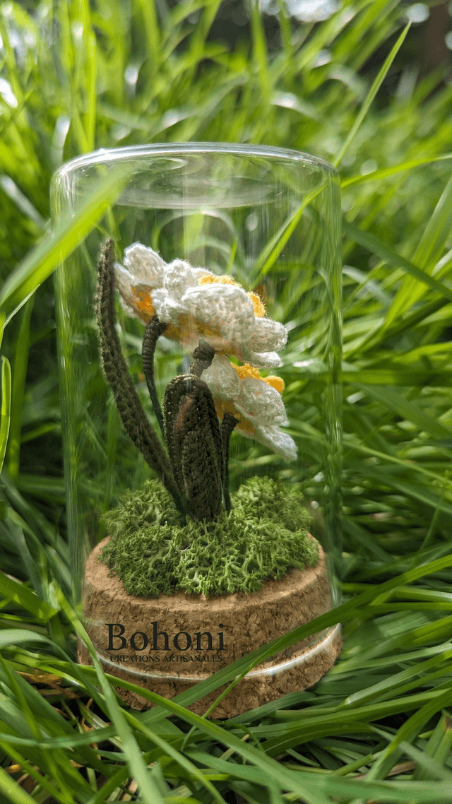 Mini terra JONQUILLES