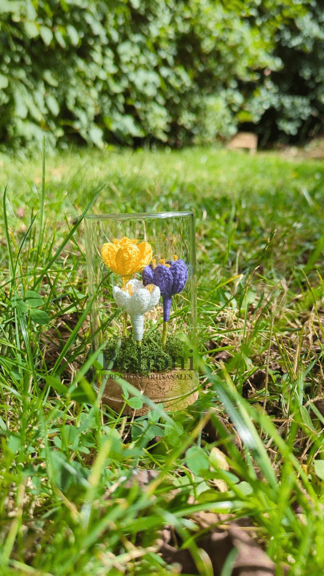 Mini terra CROCUS