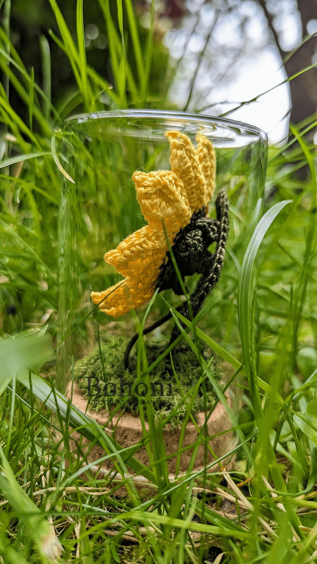 Mini terra TOURNESOL 