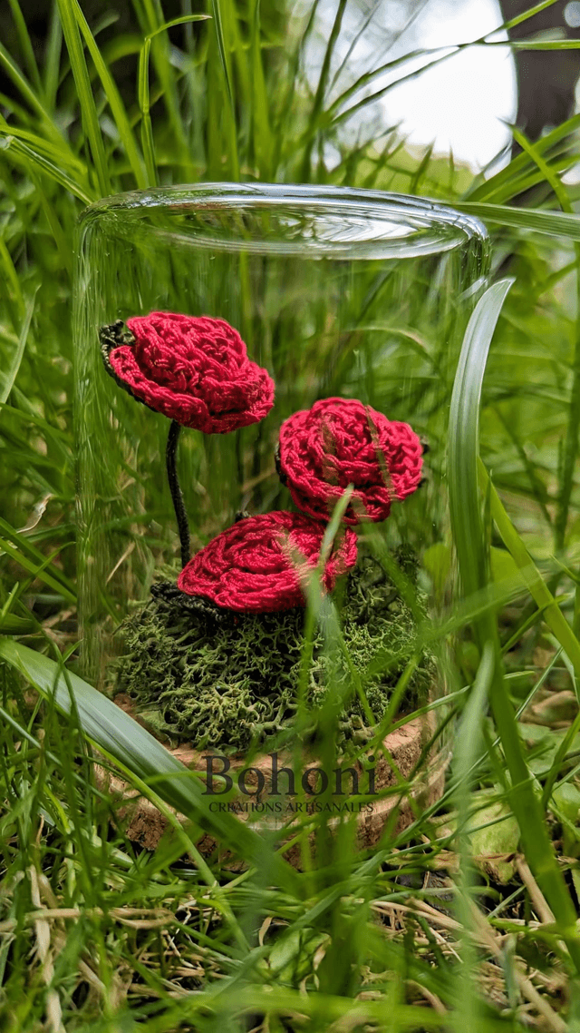 Mini terra ROSES
